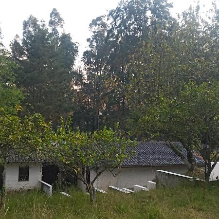 Вілла Quinta Los Eucaliptos Кіто Екстер'єр фото